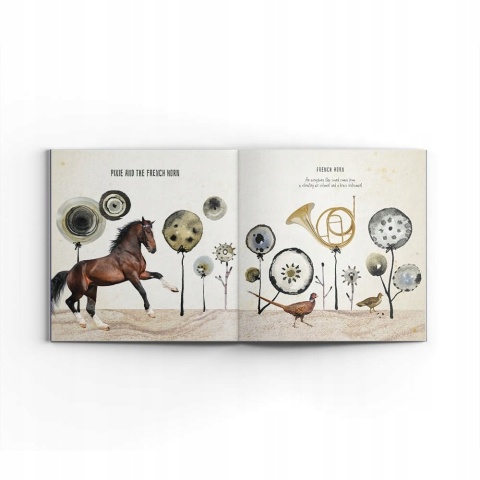 Instrumenty orkiestrowe opowiadają bajki Anna Weber