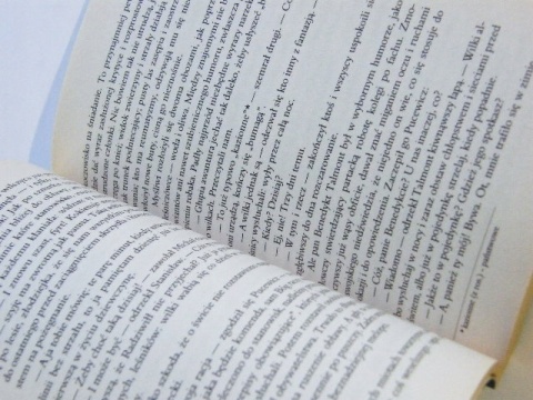 SOBÓL I PANNA Józef Weyssenhoff