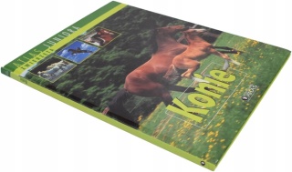 Atlas Juniora Zamki. Konie Praca zbiorowa