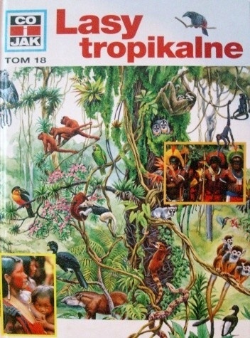 Lasy tropikalne Andrea Mertiny