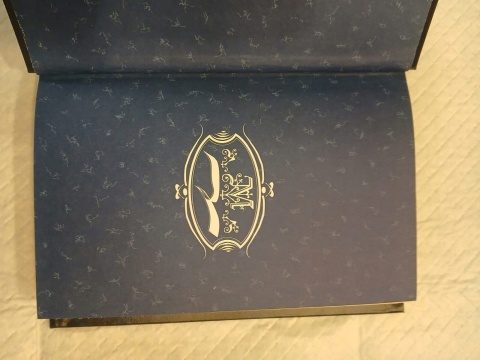 PRZEDWIOŚNIE Stefan Żeromski