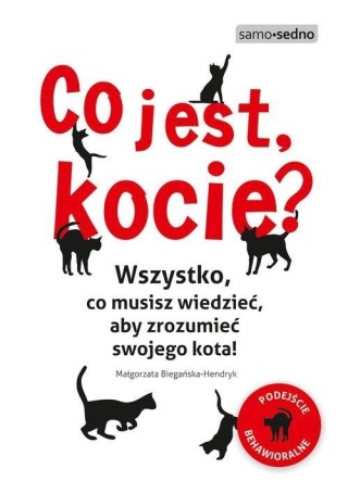 Co jest, kocie? Małgorzata Biegańska-Hendryk