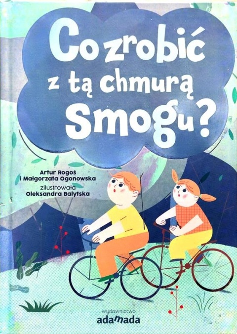 Co zrobić z tą chmurą smogu? Artur Rogoś