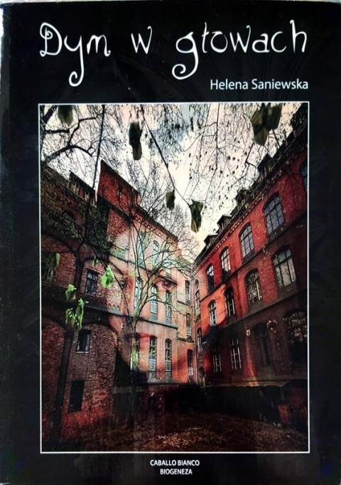 Dym w głowach Helena Saniewska