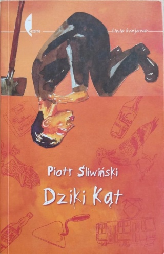 Dziki kąt Piotr Śliwiński