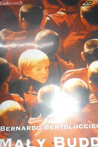 MAŁY BUDDA płyta DVD