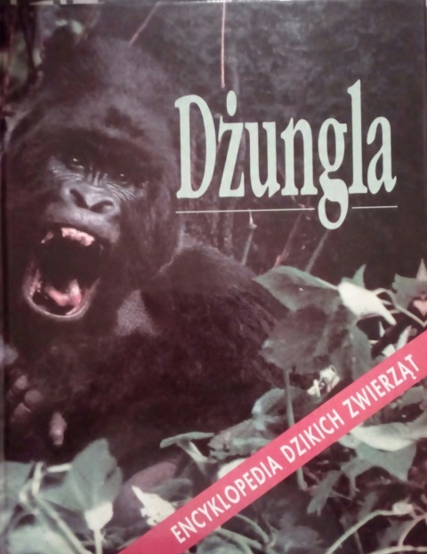 Encyklopedia dzikich zwierząt dżungla Praca zbiorowa