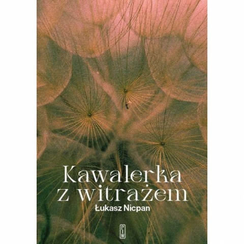 Kawalerka z witrażem Łukasz Nicpan