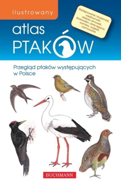 Ilustrowany atlas ptaków Emilia Grzędzicka