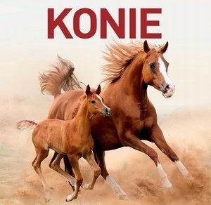 Konie Jon Stroud