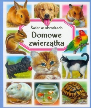 Domowe zwierzątka. Świat w obrazkach. Patricia Reinig