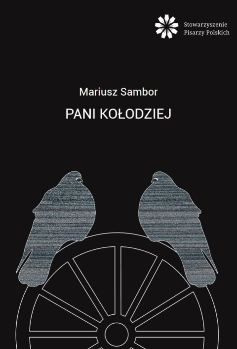 Pani Kołodziej Kawki i gołębie Mariusz Sambor