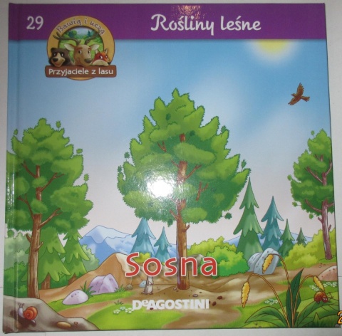 Rośliny leśne Sosna Praca zbiorowa