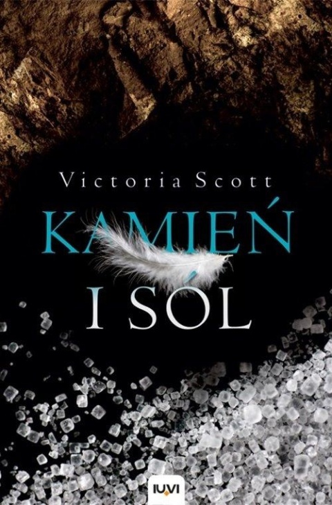 Kamień i sól Victoria Scott