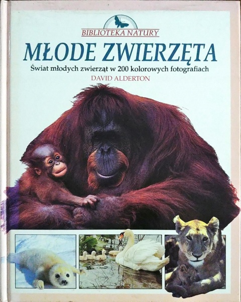 Młode zwierzęta David Alderton