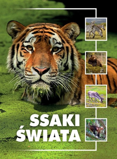 Ssaki świata Jacek Twardowski, Kamila Twardowska