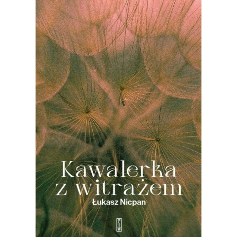 Kawalerka z witrażem Łukasz Nicpan