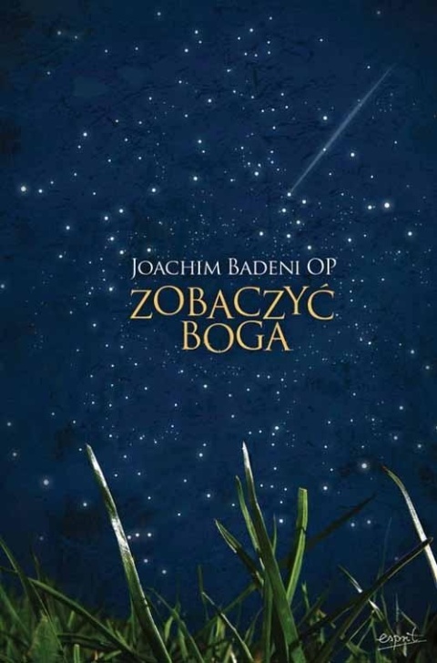 Zobaczyć Boga Joachim Badeni