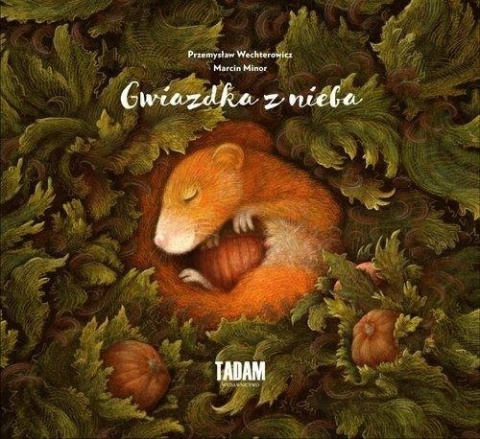 Gwiazdka z nieba Przemysław Wechterowicz