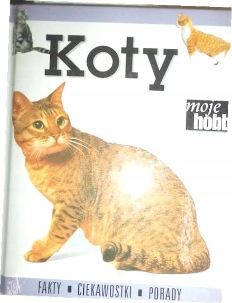 Koty moje hobby Praca zbiorowa