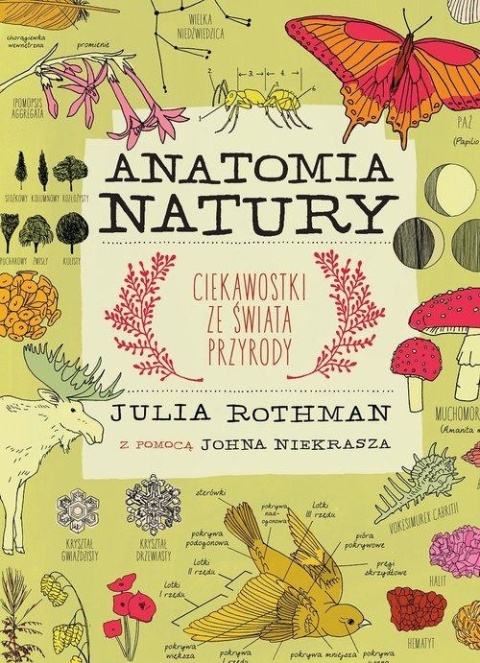 Anatomia natury B. Bocian, J. Rothman