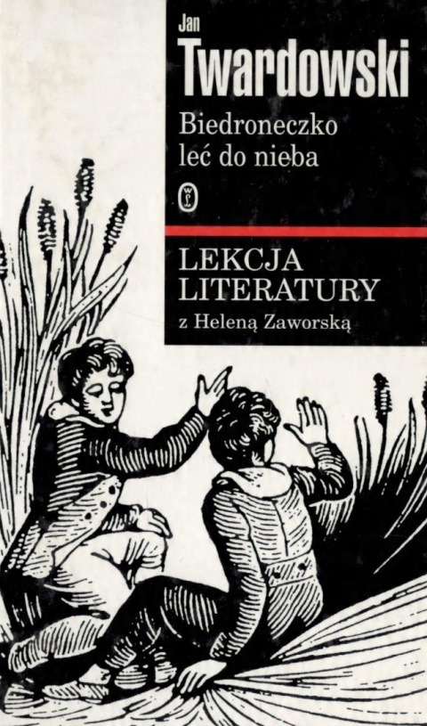 Biedroneczko leć do nieba Jan Twardowski